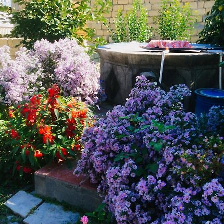 Bed and Breakfast House On Ashiq Cuma Street 8 Şǝki Exterior foto