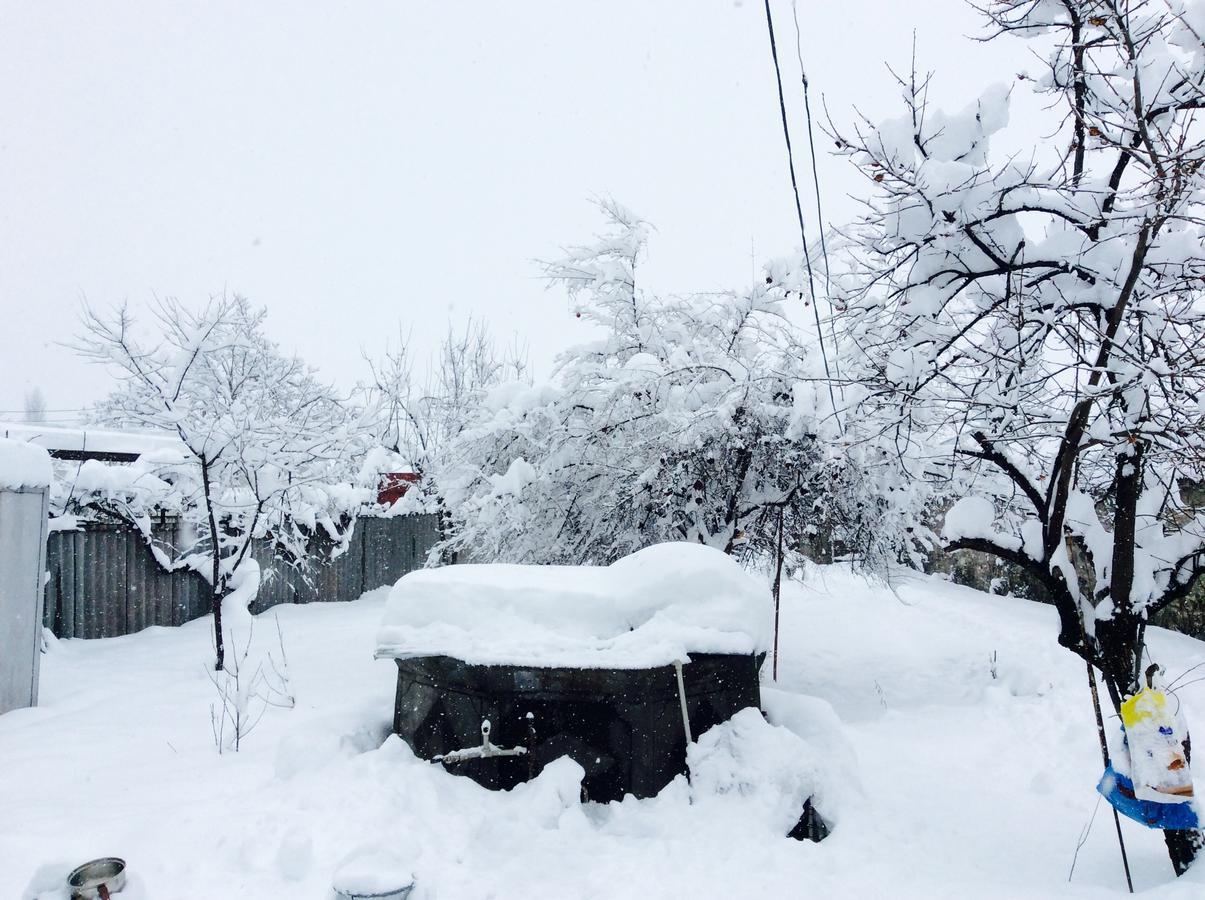 Bed and Breakfast House On Ashiq Cuma Street 8 Şǝki Exterior foto
