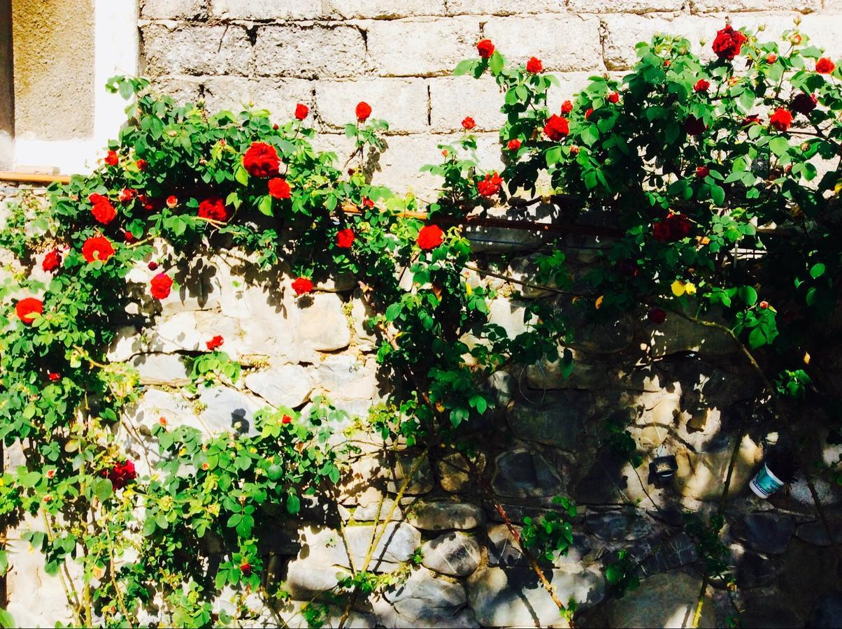 Bed and Breakfast House On Ashiq Cuma Street 8 Şǝki Exterior foto