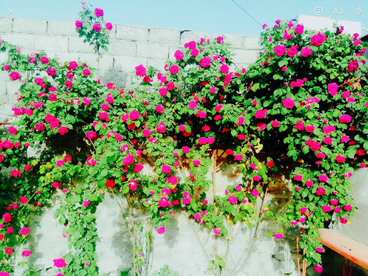 Bed and Breakfast House On Ashiq Cuma Street 8 Şǝki Exterior foto