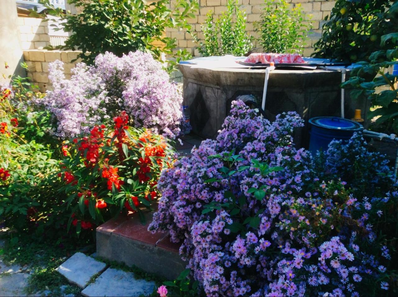Bed and Breakfast House On Ashiq Cuma Street 8 Şǝki Exterior foto