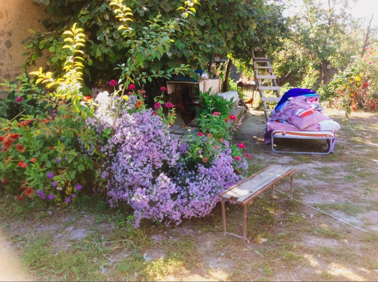 Bed and Breakfast House On Ashiq Cuma Street 8 Şǝki Exterior foto