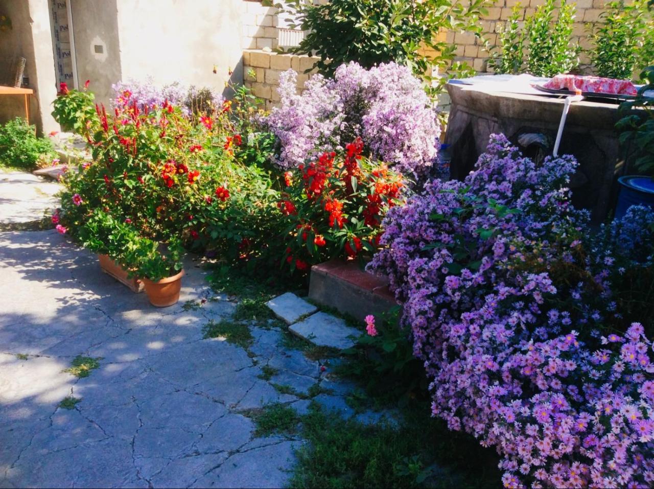 Bed and Breakfast House On Ashiq Cuma Street 8 Şǝki Exterior foto